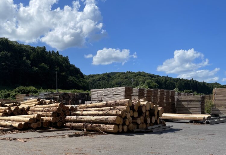 国産の無垢材を使う理由の画像