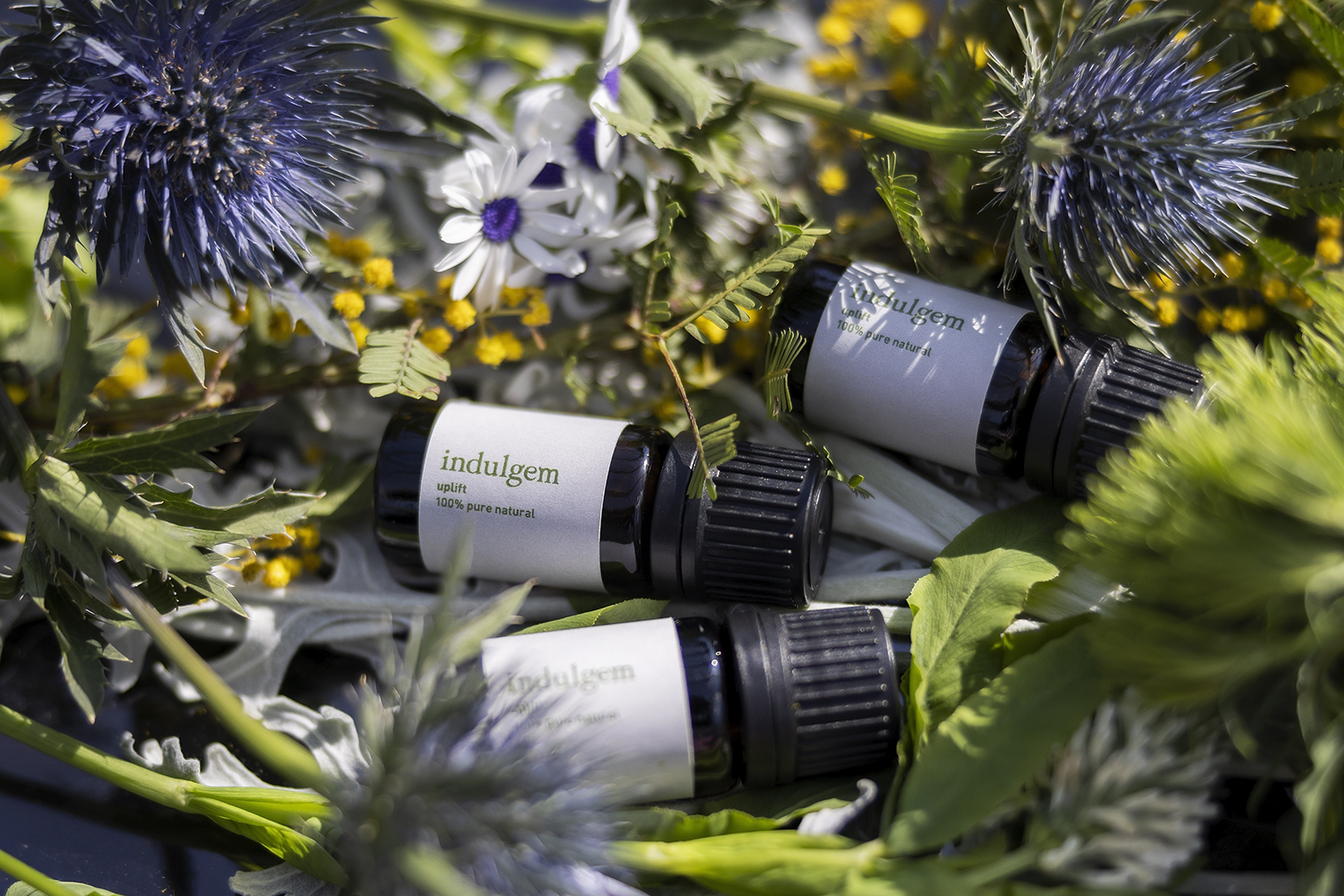 暮らしを彩る香りのワークショップ in SIMOKU LIFESTYLE MARCHE