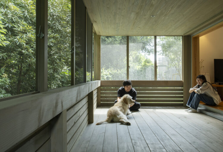 SIMOKU看板犬「ハチ」の、やさしいまなざしの画像